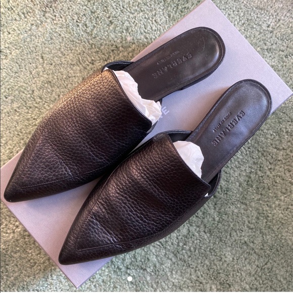 everlane boss mule